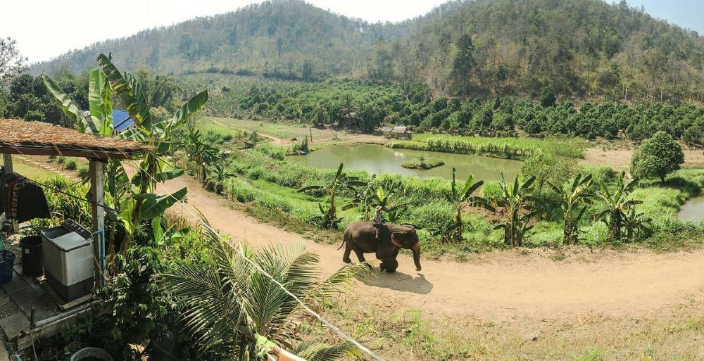 Mae Taeng feature image