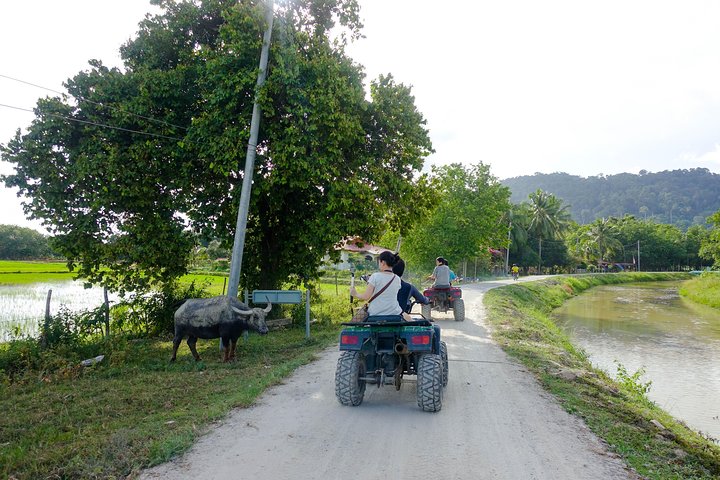 Langkawi Kampung Exploration Joy Ride 2