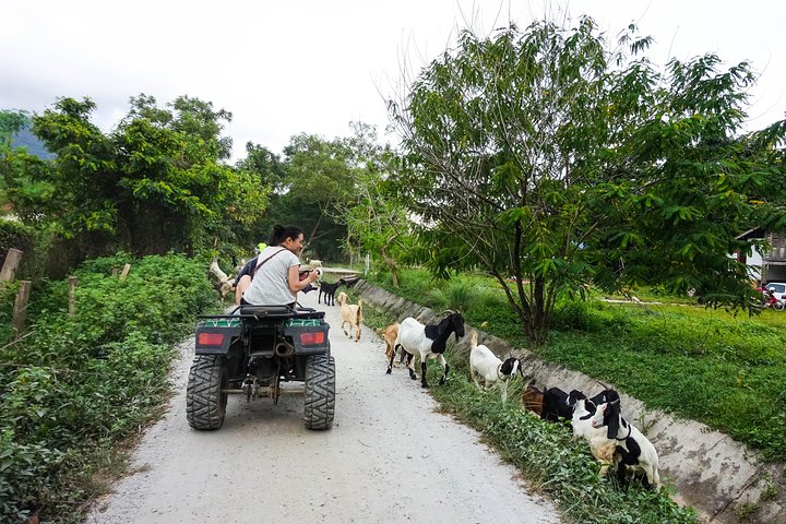 Langkawi Kampung Exploration Joy Ride 1