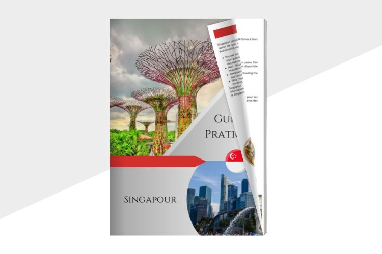 Guide Pratique Singapour