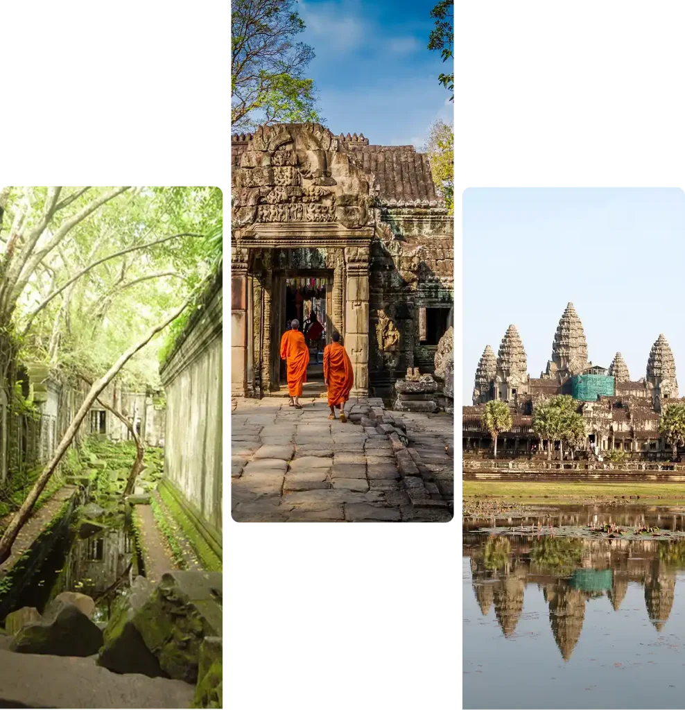 cambodia mice
