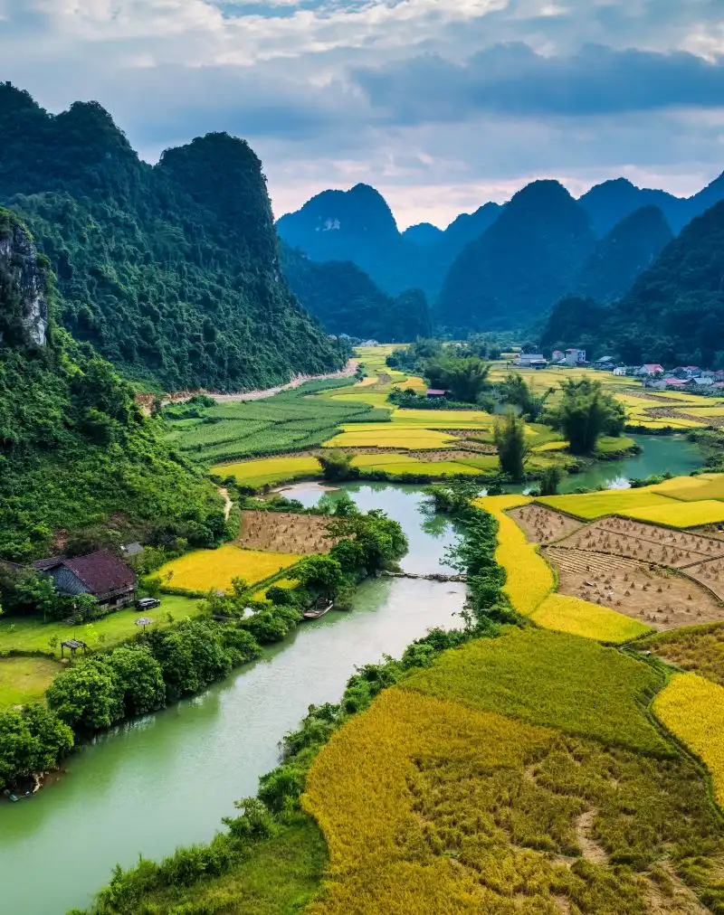 phong-nam-valley-with-rice-field-and-river-flows-t-2026-01-09-07-40-47