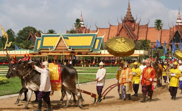 royal-ploughing-cambodia