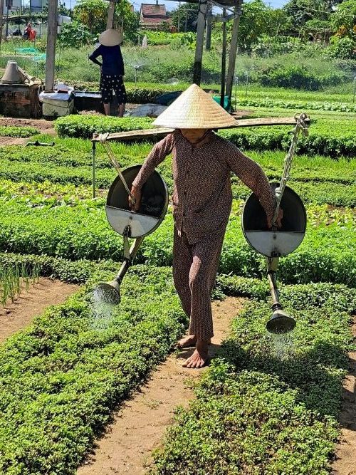 Yvonne - Tripadvisor -Tra Que Cycling - Hoi An