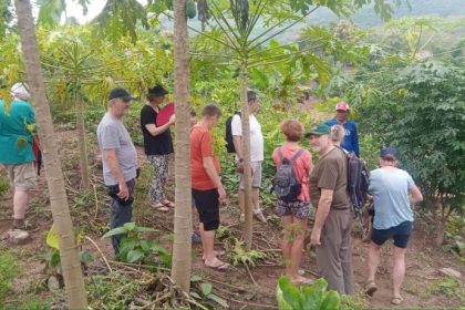 Croisière vers les Grottes de Pak Ou & Nuit au Village 4