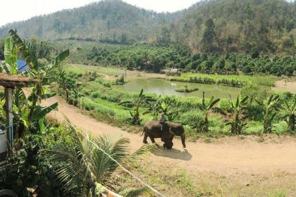 Mae Taeng feature image