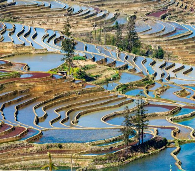 aerial-drone-view-of-yuanyang-rice-terrace-at-sunr-2026-01-07-05-52-50-utc