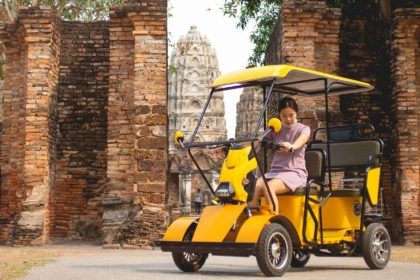 Electric Vehicles